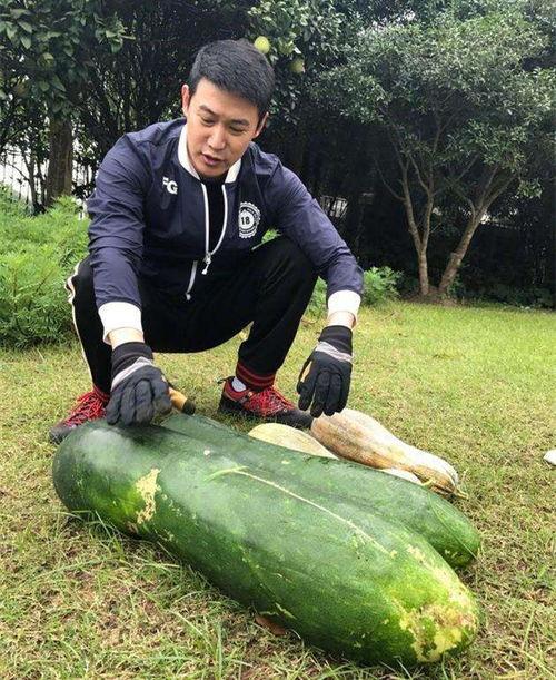 左各庄吃瓜最新事件爆料,最新爆料揭秘幕后真相